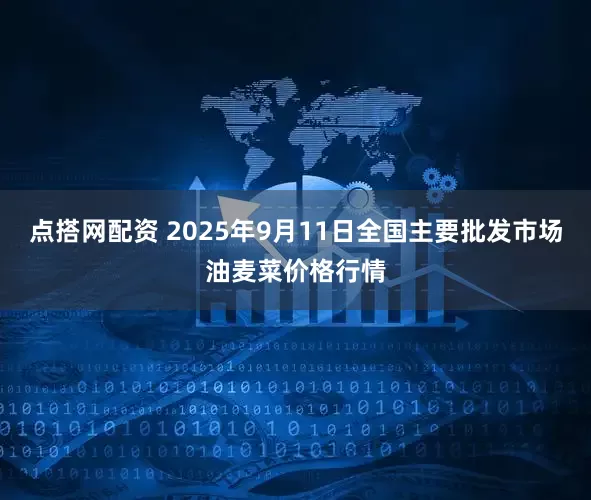 点搭网配资 2025年9月11日全国主要批发市场油麦菜价格行情