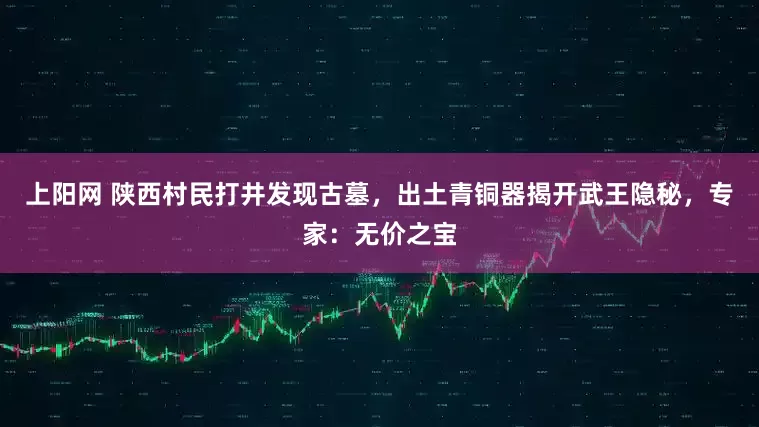 上阳网 陕西村民打井发现古墓，出土青铜器揭开武王隐秘，专家：无价之宝
