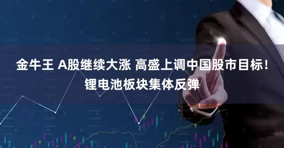 金牛王 A股继续大涨 高盛上调中国股市目标！锂电池板块集体反弹